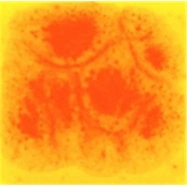 Sax True Flow Lead-Free Non-Toxic Crystal Magic Glaze - 1 Pt. - Citrus Splash